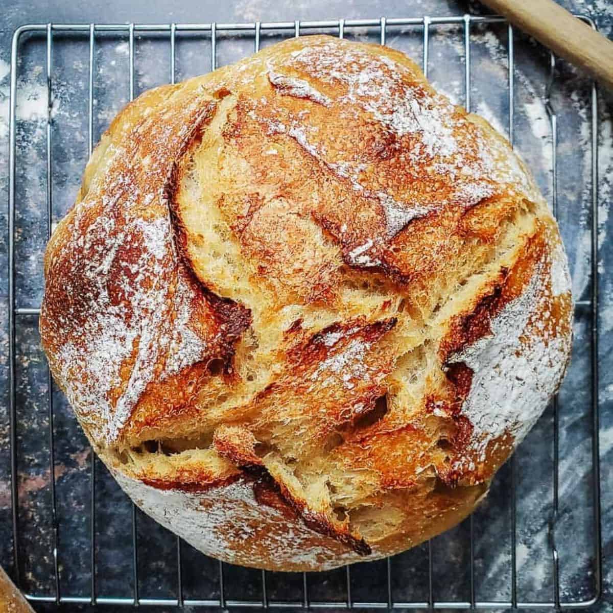 Sourdough Bread