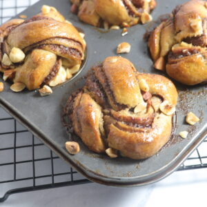 Chocolate Babka Bun