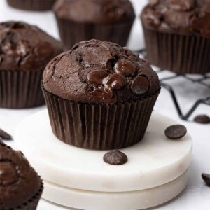 Double Chocolate Muffin