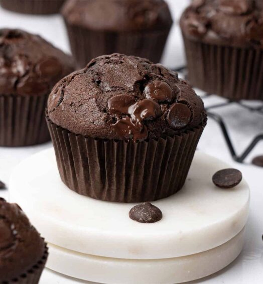 Double Chocolate Muffin