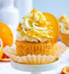 attachment-https://beigemarvelbakery.com/wp-content/uploads/2024/12/unwrapped-orange-cupcakes-finished-v1-4-735x980-1-100x107.jpg