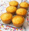 attachment-https://beigemarvelbakery.com/wp-content/uploads/2024/12/vanilla-muffins1-100x107.jpg